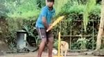 Dog plays Gully Cricket