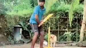 Dog plays Gully Cricket