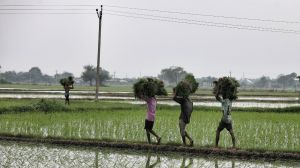 ‘Annual income of Rs 3’: After faulty certificate, Congress’s ‘poorest man in India’ jibe at Madhya Pradesh govt; admin cites clerical error
