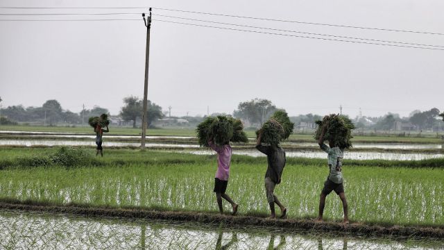  After faulty certificate, Congress’s ‘poorest man in India’ jibe at Madhya Pradesh govt; admin cites clerical error