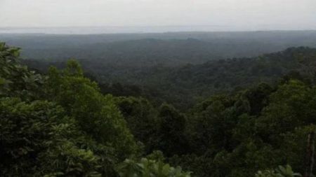 Under the Van Adhiniyam 1980, project proponents have to obtain approval from the ministry's forest advisory committee before using or diverting forest land for non-forestry activities.