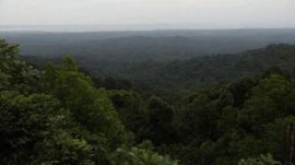 Under the Van Adhiniyam 1980, project proponents have to obtain approval from the ministry's forest advisory committee before using or diverting forest land for non-forestry activities.