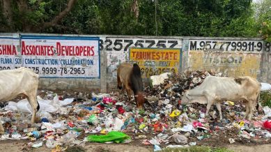 Waste