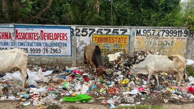 Waste