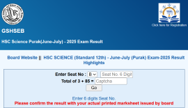 Gujarat Board Science supplementary results declared at gseb.org