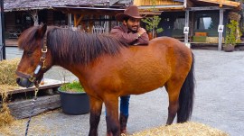 World chess champion Gukesh D poses with a horse during the Norway Chess Games day at the recent Norway Chess tournament in Stavanger. (Express Photo by Amit Kamath)