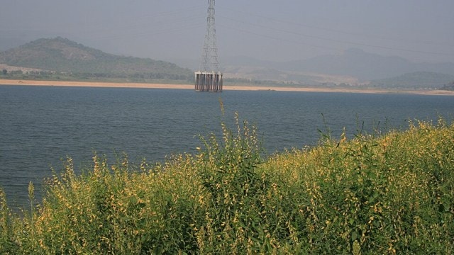 Godavari_River