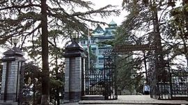 Himachal high court gang rape case