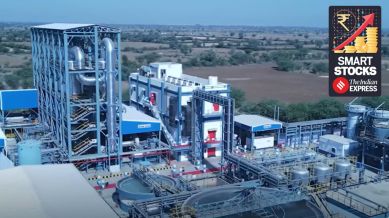 Hindustan Zinc reported its second-highest revenue and net profit in FY25, following a record year in FY23.