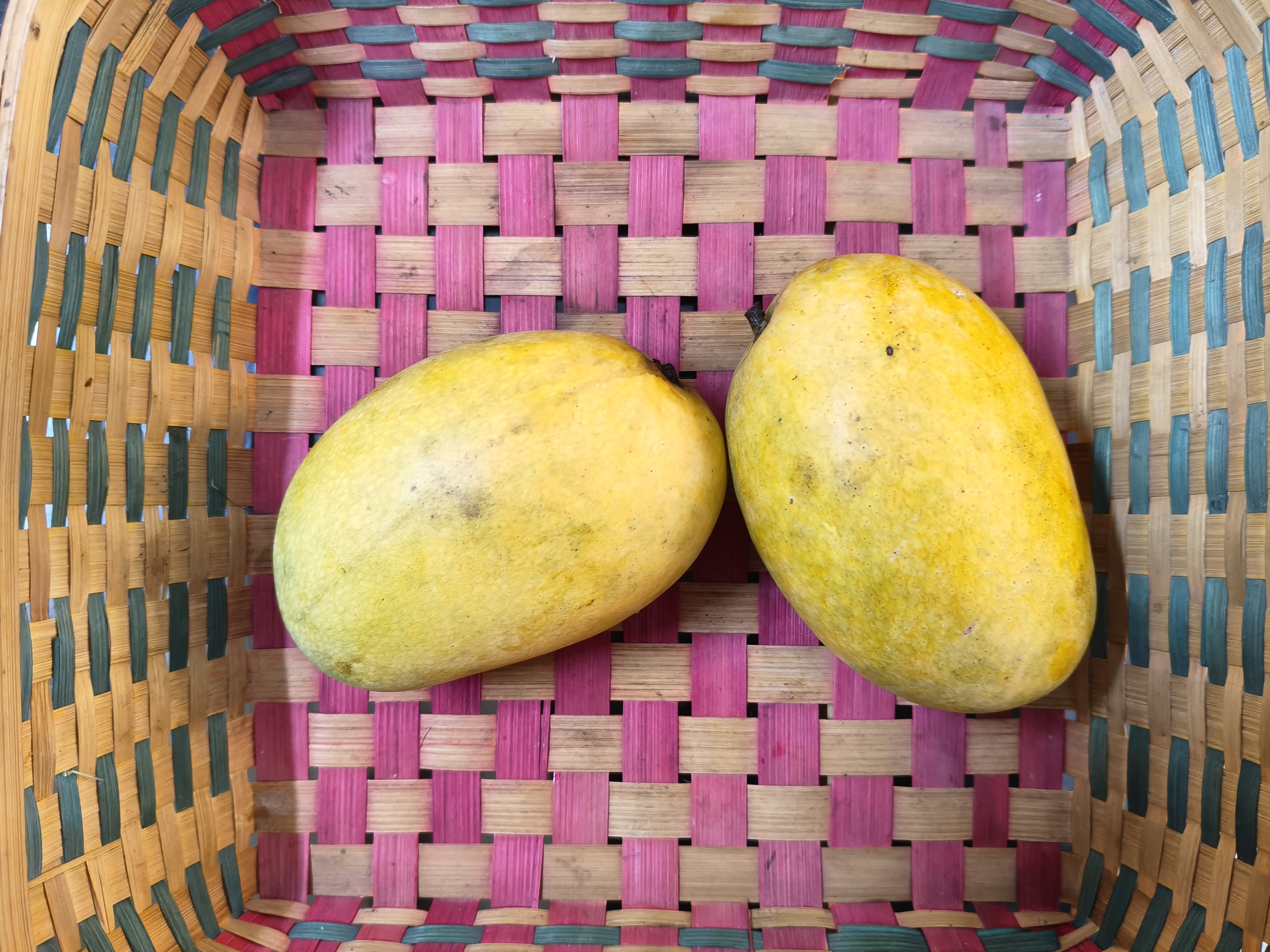 OnePlus Nord CE 5 camera sample (Image resized for web)