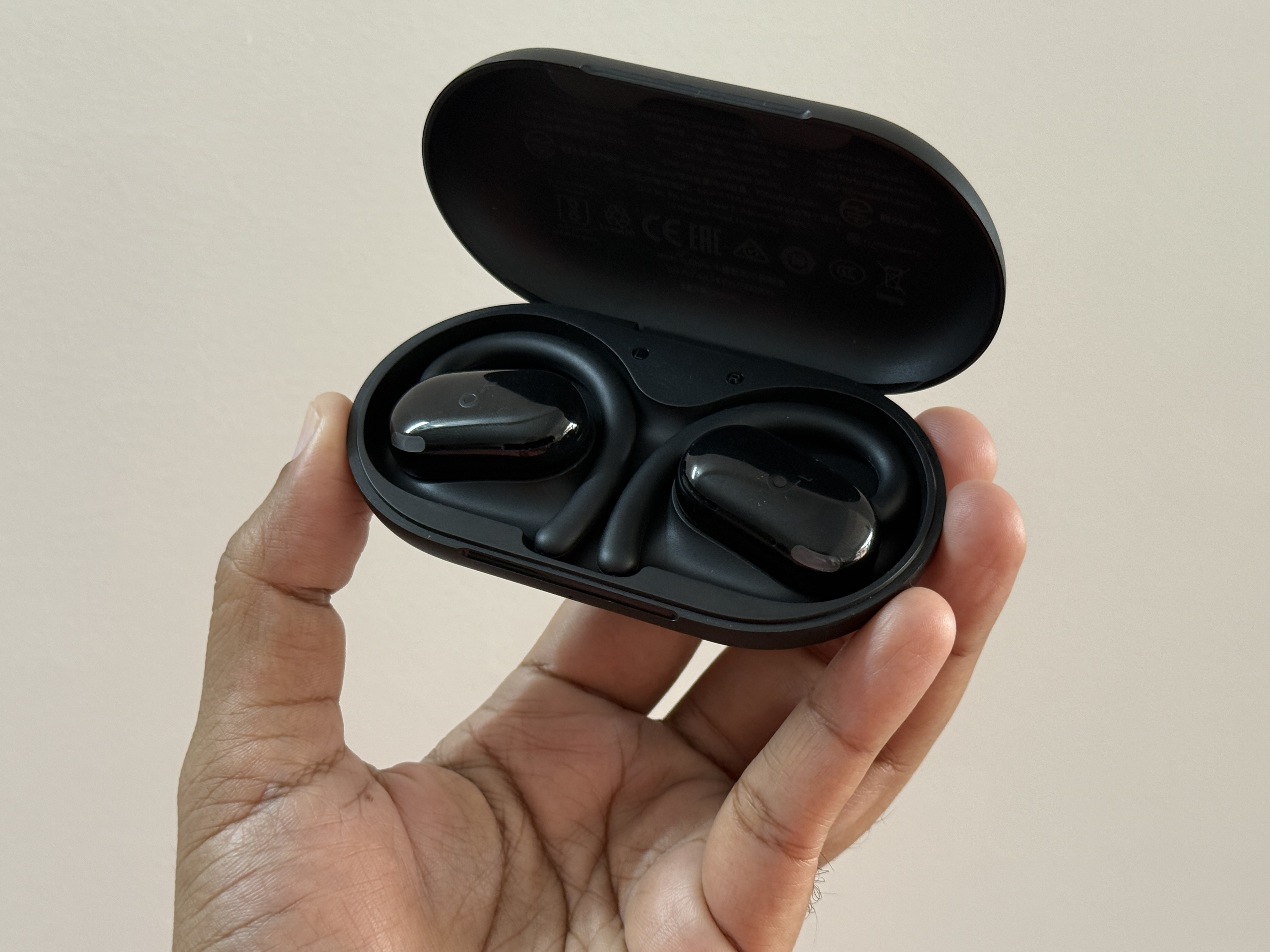 The buds and their case are both on the larger side.