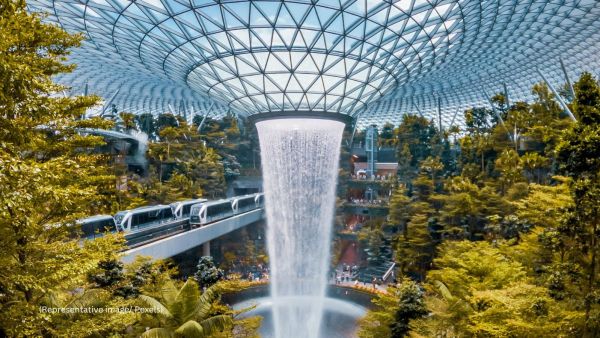 According to reports, upon reviewing CCTV footage, authorities spotted the suspect taking the item and exiting the shop without making any paymentn (Representative image/Pexels)