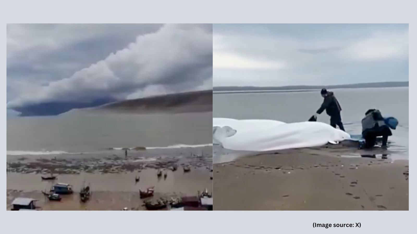 Tsunami risk rising: Here’s what we can learn from 2025 Russia earthquake