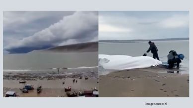 Tsunami strikes Japan and Russia after massive earthquake; terrifying  videos show whales washed ashore, strong winds | Trending News - The Indian  Express