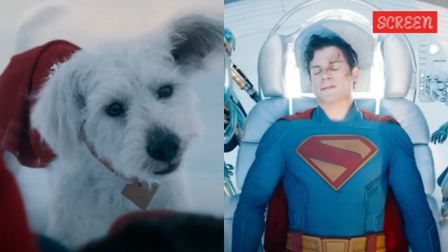 Krypto in Superman film