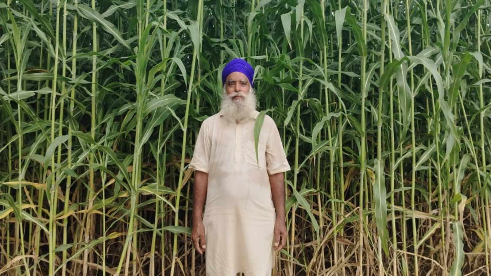 Ferozepur farmer injured in drone attack post-Operation Sindoor succumbs ...