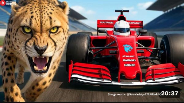 However, after the criticism, MrBeast changed the thumbnail of the video titled, “World’s Fastest Car Vs Cheetah!” (Image source: @Sea-Variety-9795/Reddit)