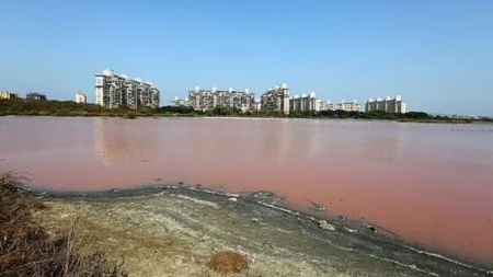 Mumbai lake rejuvenation project