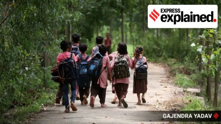 Five years of NEP: Taking stock of the transition