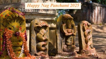 Nag Panchami 2025 Date, History: As the festival just around the corner, here's all you need to know. (Source: Isha Foundation)