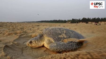 olive ridley, puri airport, INA tamal, UPSC key