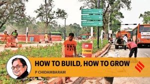 We must build — and we must know how to build — public goods such as roads, bridges, railways, airports, buildings for schools, colleges, hospitals and offices, etc. for growth.