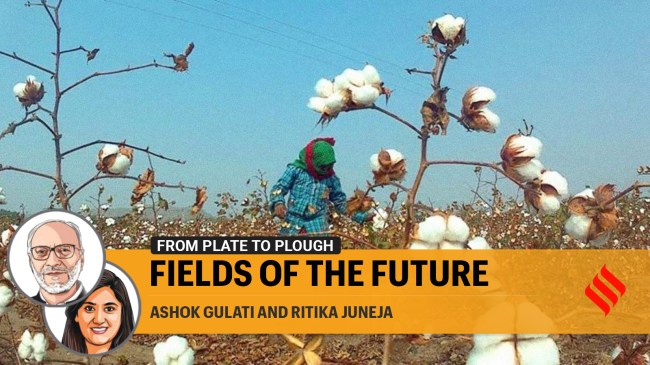 india agriculture