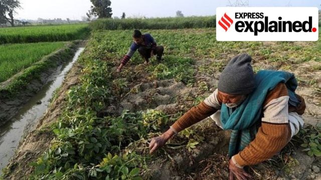 PMDDKY, dhan dhaanya scheme