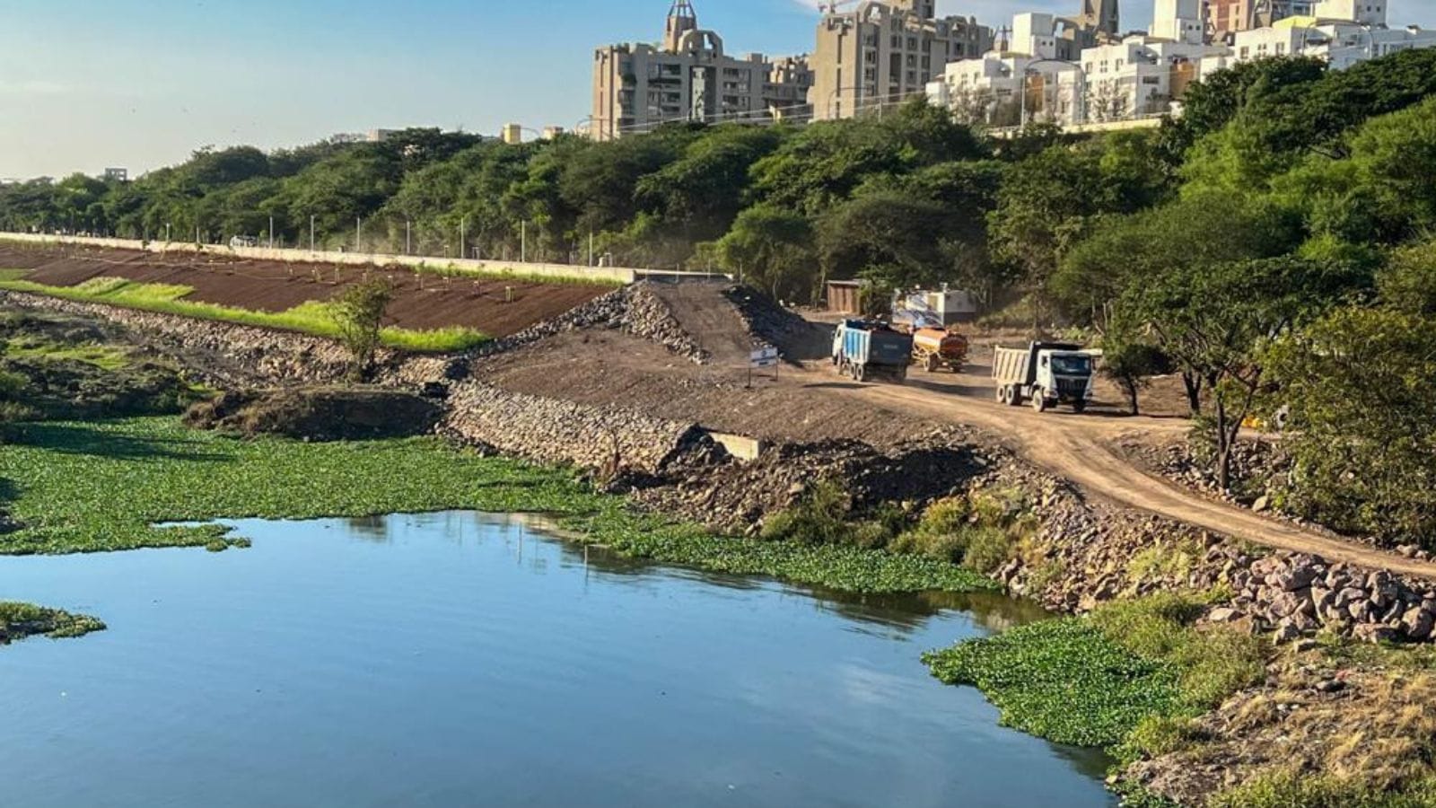 Pune Riverfront Development Project: Petitioners urge public to stay alert against tree felling after Bombay HC setback