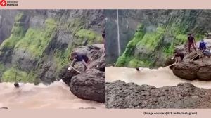 The viral video shows a group of men pulling out the trapped tourist with a makeshift rope (Image source: @trb.india/Instagram)