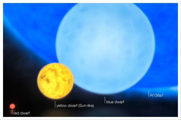 An artist’s representation of the relative size of R136a1 compared to other young stars. (Image credit: European Southern Observatory)
