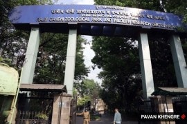 In 2021, four blackbucks died of shock in the Rajiv Gandhi Zoological Park after stray dogs attacked them, and the zoo authority had to repair the damaged fence of the park.