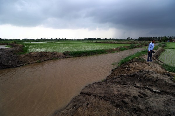 Río de la tarde en arriba