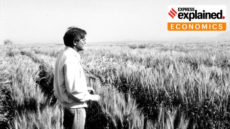 New Delhi has chance to repay Green Revolution debt: Why doing so is in India's interest