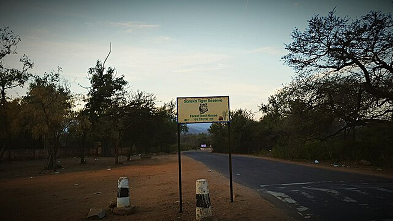 CEC Recommends Boundary Changes for Sariska Tiger Reserve