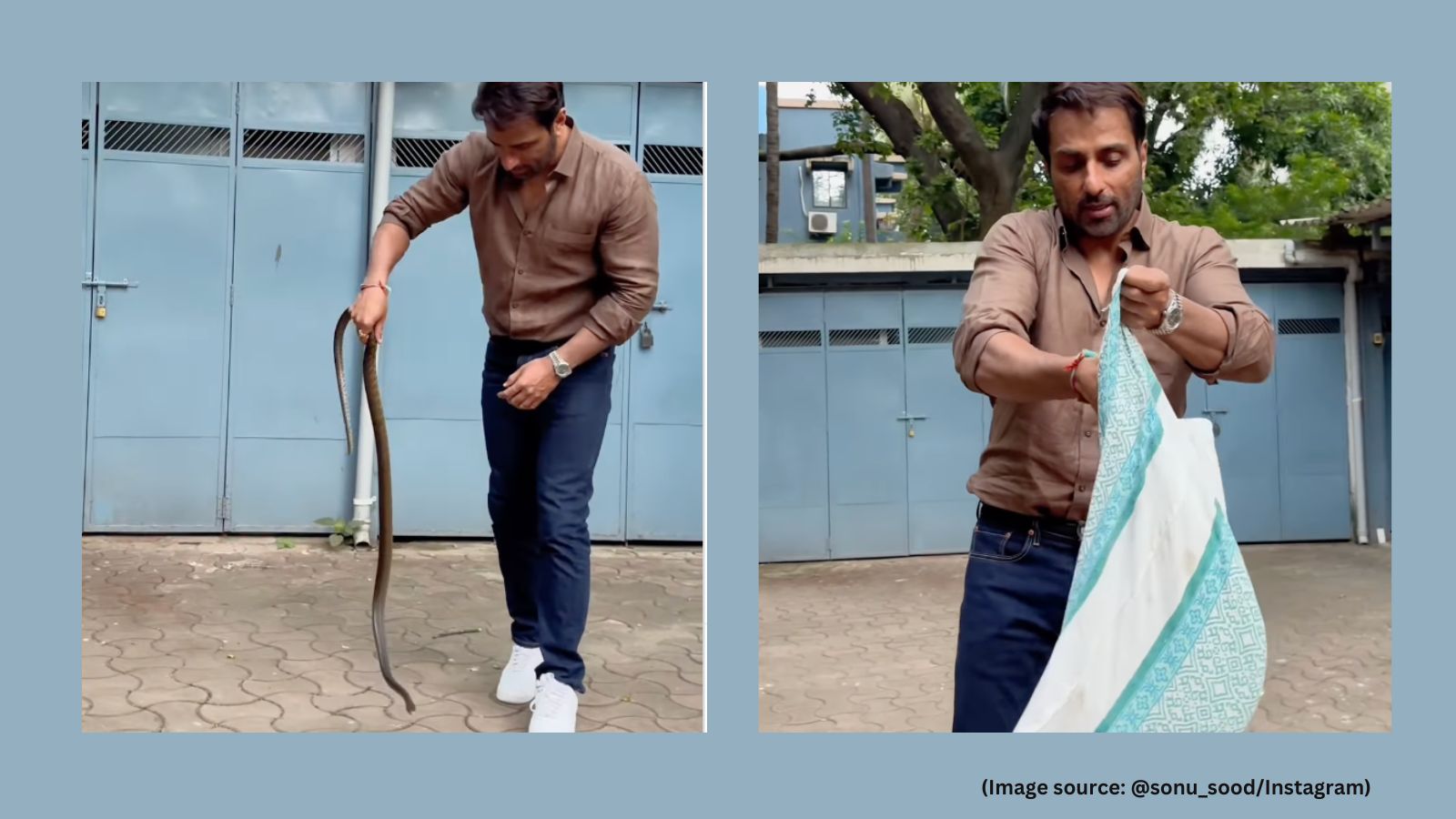 On Saturday, Sonu Sood shared a video of the incident on Instagram, showing him capturing a rat snake with his bare hands (Image source: @sonu_sood/Instagram)