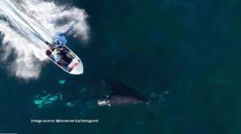 The report stated that the three men on board the speedboat were not wearing lifejackets (Image source: @brutamerica/Instagram)