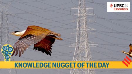 UPSC current affairs news Great Indian Bustard in Focus: Why is this flagship species relevant for UPSC Exam?