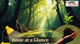 UPSC Current Affairs Mangroves in Focus: Understanding ecological significance, threats and conservation measures