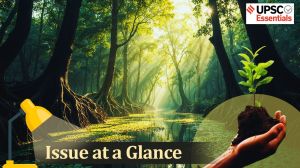 UPSC Current Affairs Mangroves in Focus: Understanding ecological significance, threats and conservation measures