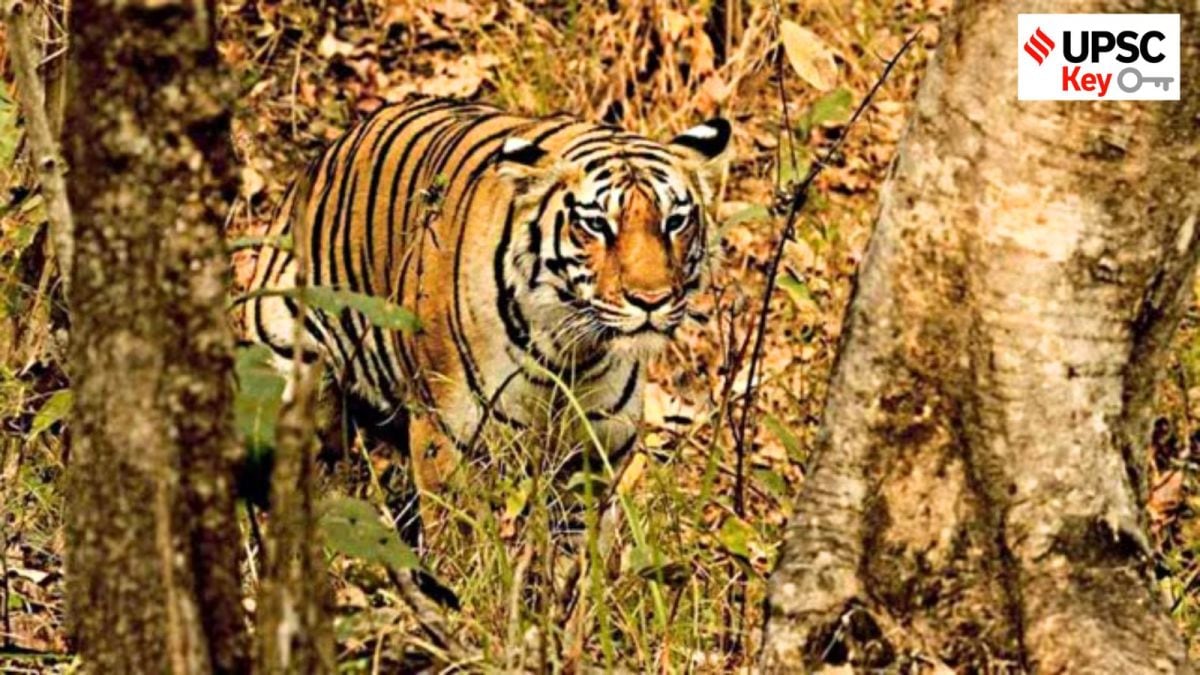 UPSC current affairs UPSC Key: Eco-Sensitive Zones, Stablecoins and Special Intensive Revision