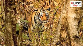 UPSC current affairs UPSC Key: Eco-Sensitive Zones, Stablecoins and Special Intensive Revision