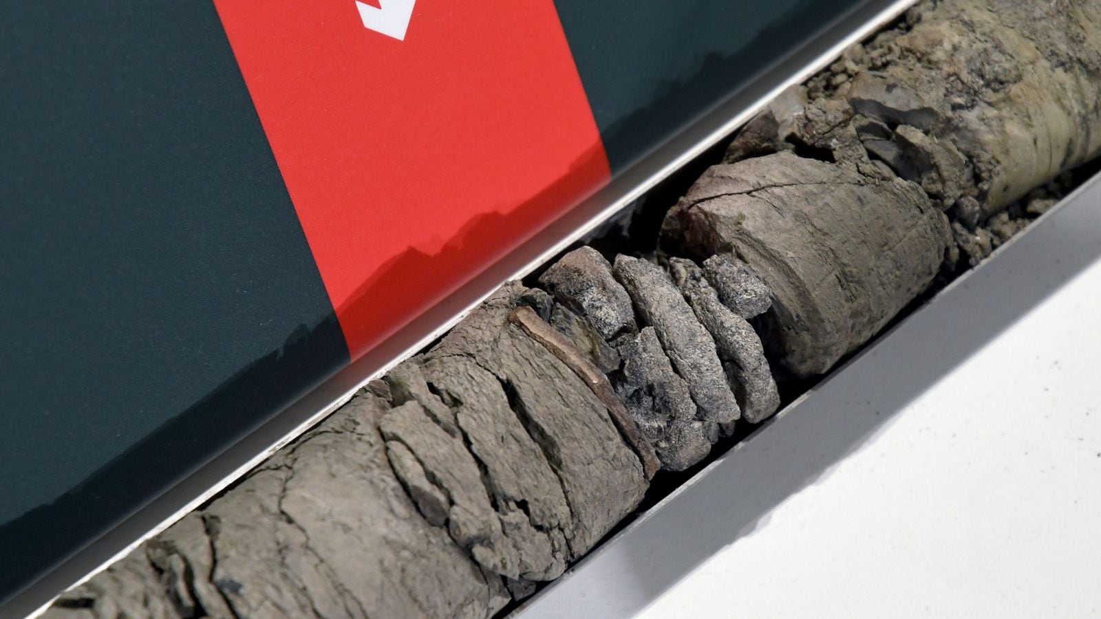 US Colorado parking dinosaur