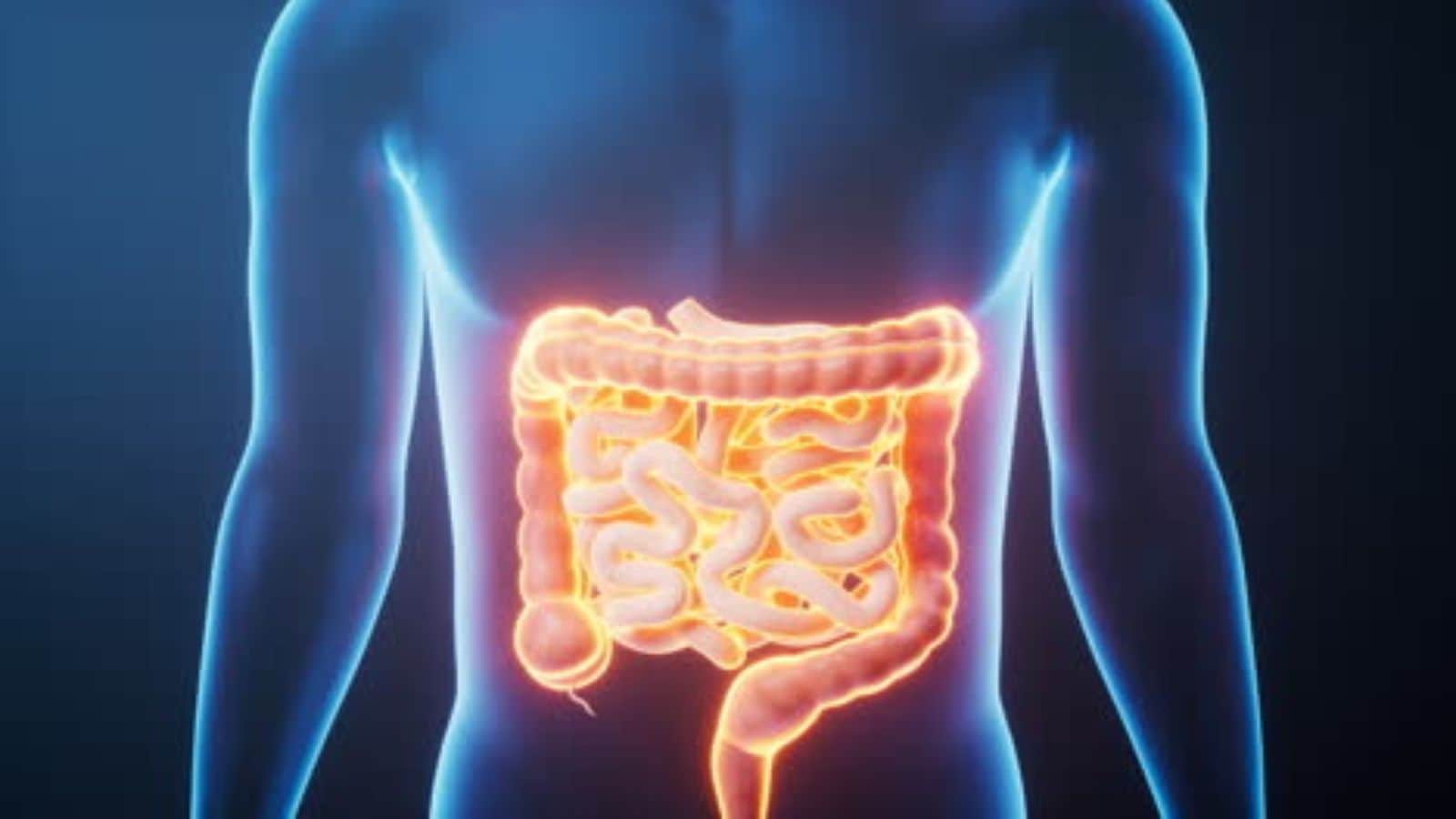 Scientists discover ‘Sixth Sense’ in our gut that may control appetite