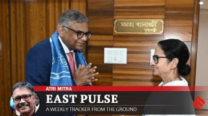 Mamata