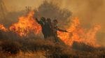 Greece wildfires, Greece wildfire, Crete wildfire, evacuation, Greek holiday island, gale-force winds, Emergency alerts, Greece public warning, fire, village of Achlia, flames, Ferma, Skinokapsala
