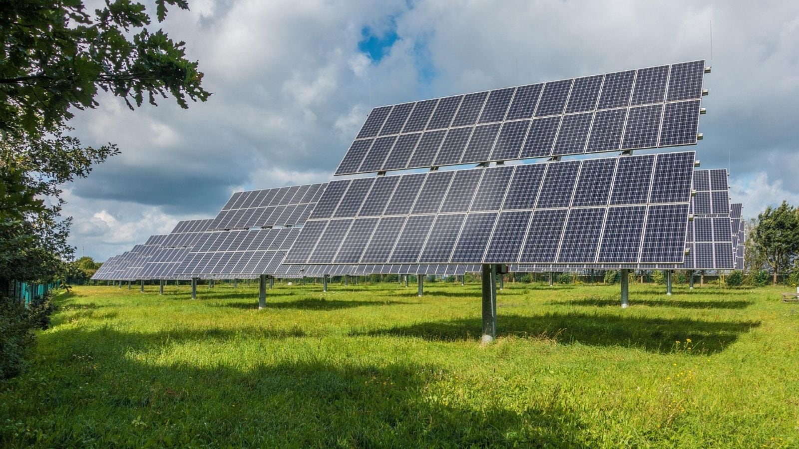 indianexpress.com - Jasbir Malhi - INST Mohali develops AI-powered solar filter to purify 99% toxic wastewater
