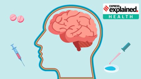 GLP-1 is secreted from the small intestine and from the hindbrain after we eat a meal.