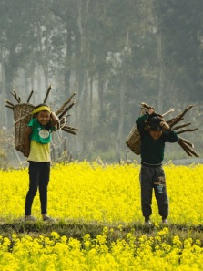 8 Morning Habits from Indian Villages That Promote Long Life