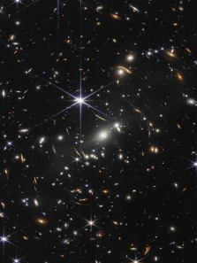 8 Animals That Can Survive in Outer Space